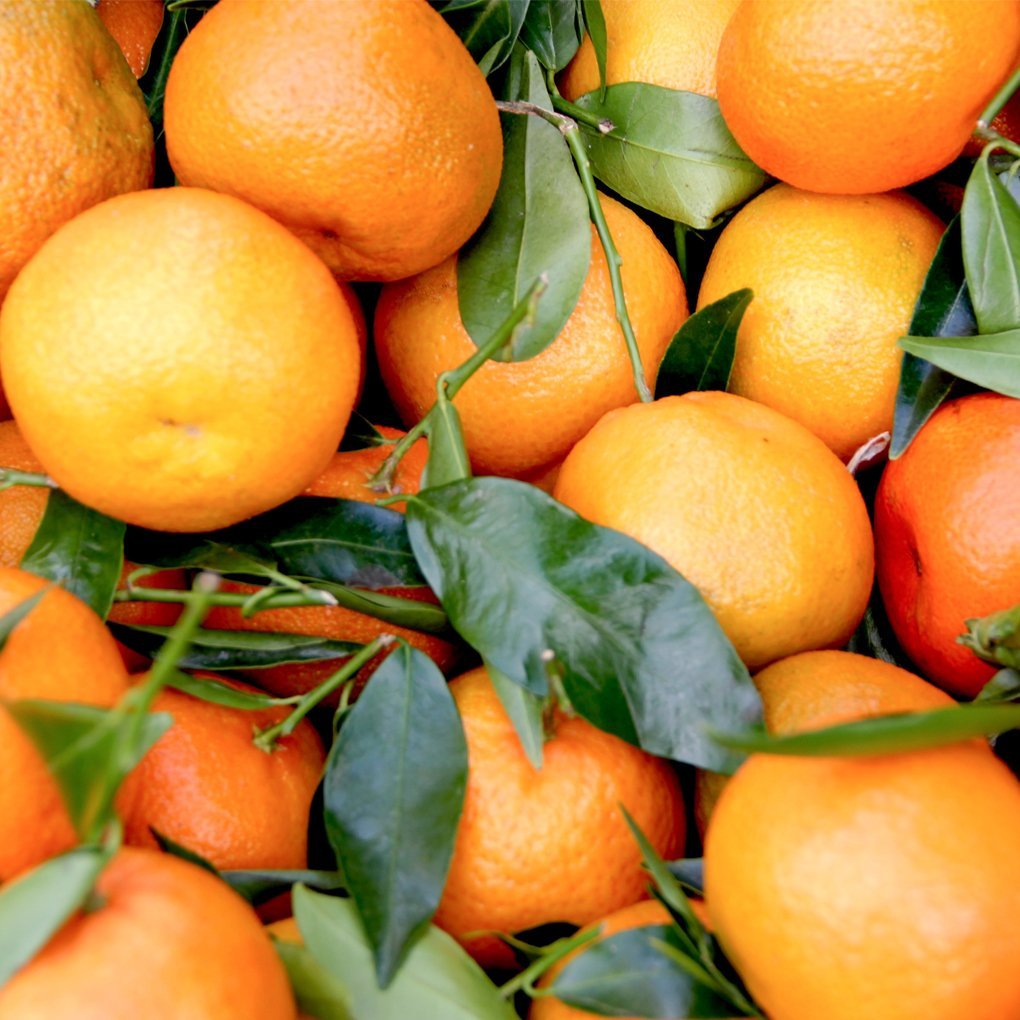 Mandarin