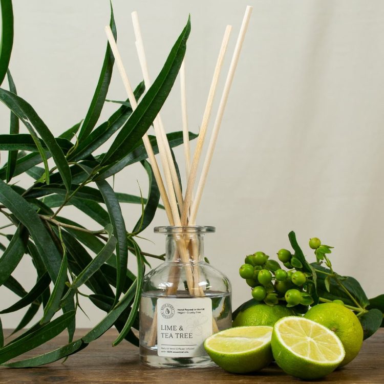 Lime and Tea Tree Natural Reed Diffuser