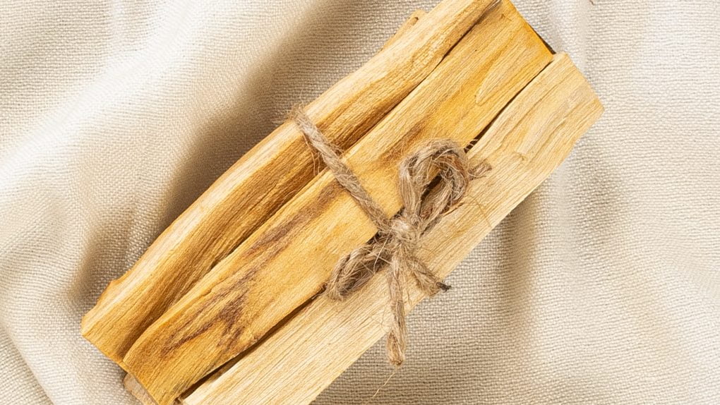 Palo Santo: A purification ritual for your soul. – Natura Selection