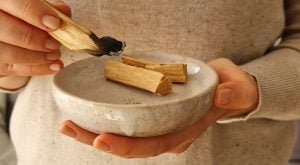 Why Palo Santo is so special