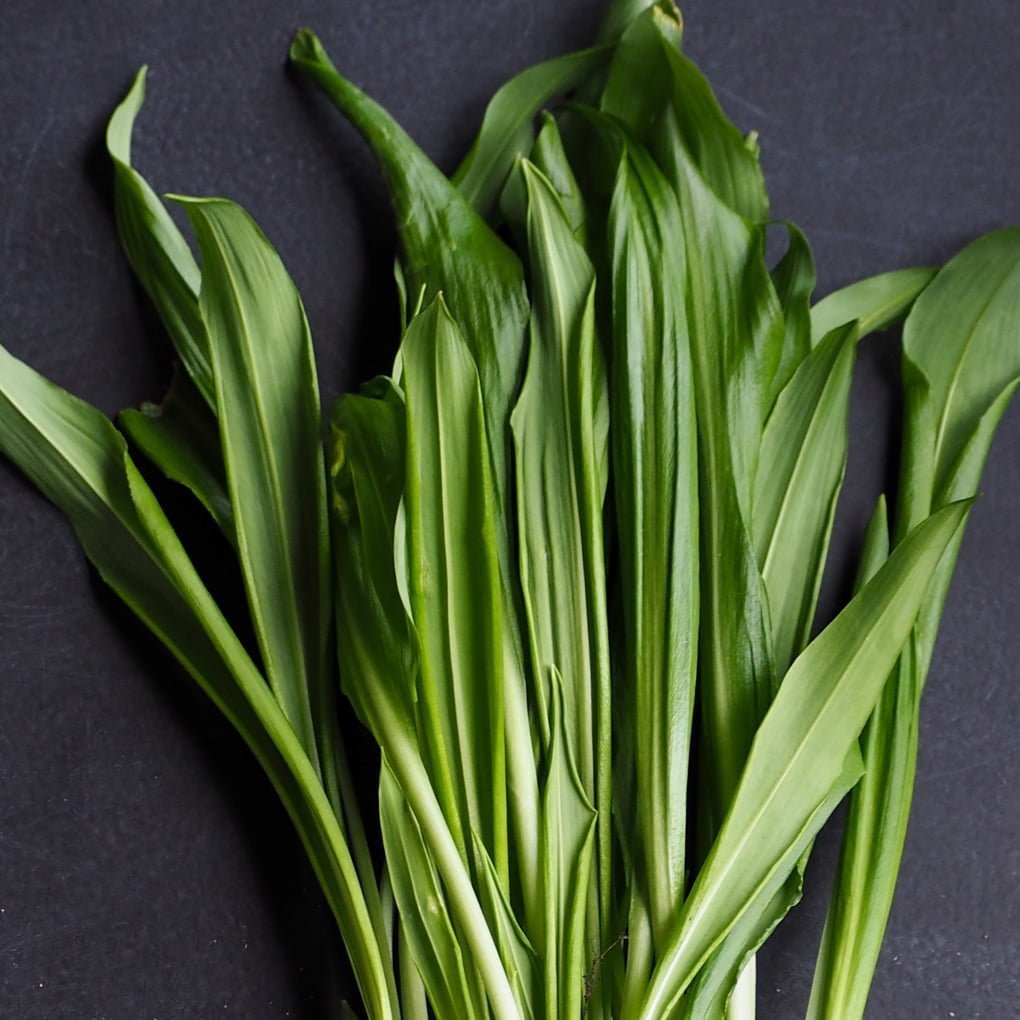 Home Scents with Vetiver Essential Oil Snug Scent®