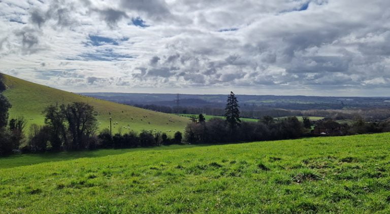 British Nature in Kent