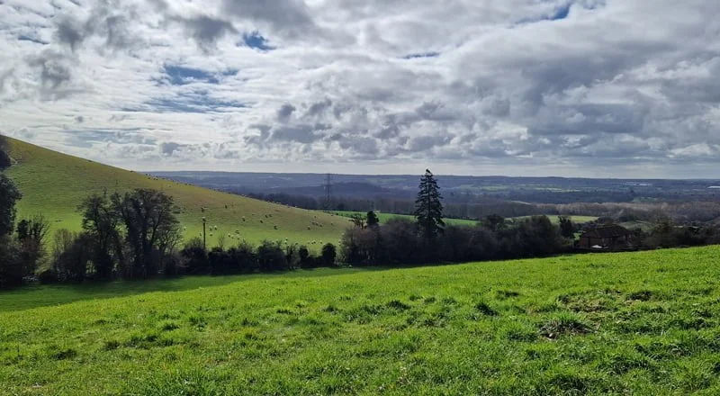 British Nature in Kent