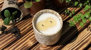 Snug Scent Natural Summer Home Scents Citronella Candle